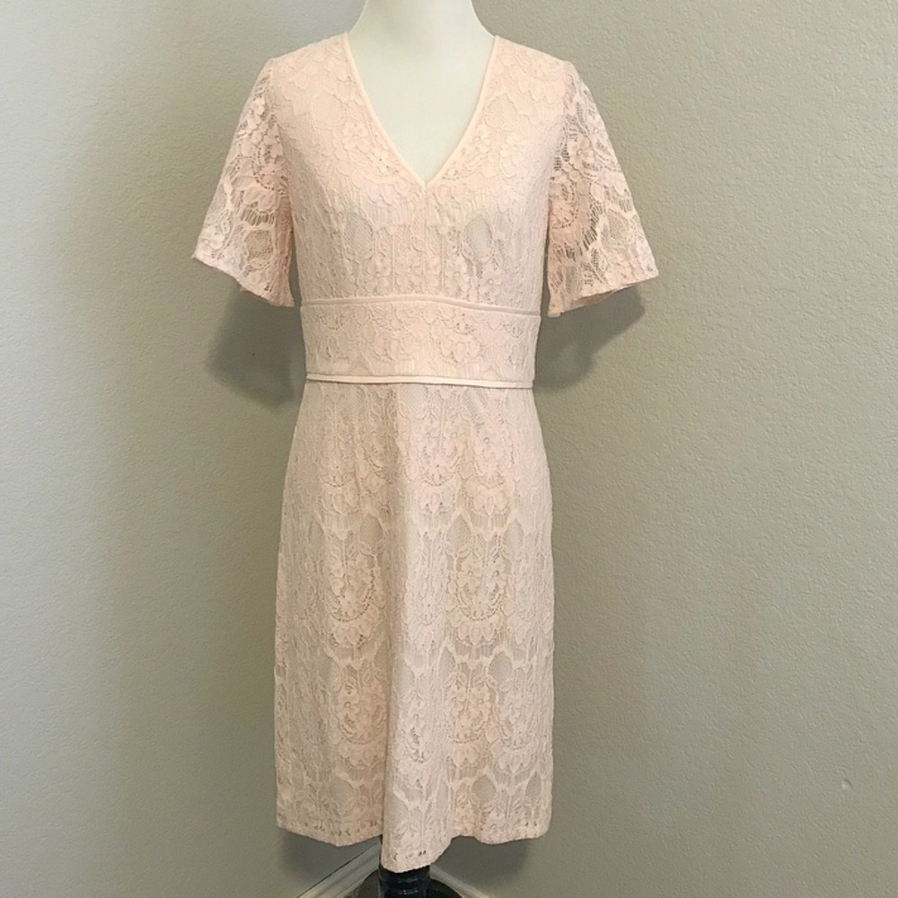 Adrianna Papell 💖Blush Lace Dress💖